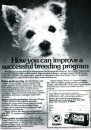 Gaines Dog Food Ad