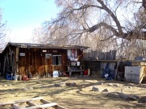 THE BACKYARD GETTING CLEANED UP AND PERSONALIZED