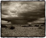 Rain Luna County N.M.