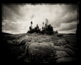 Trees and Rocks Big Horn Mountains Montata