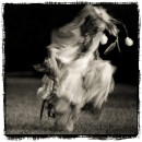 Lakota Fancy Dancer #3