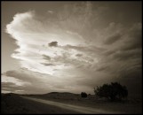 Waldo Road, New Mexico