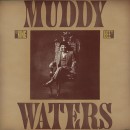 Muddy Waters King Bee