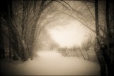 Road and Fence in Snow