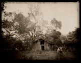 Two Cows, Liberty Texas