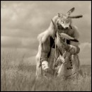 Lakota Wolf Dancer